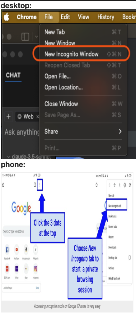 Chrome Private Screenshot