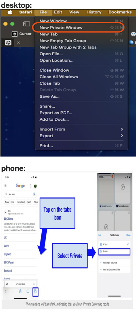 Safari Private Screenshot
